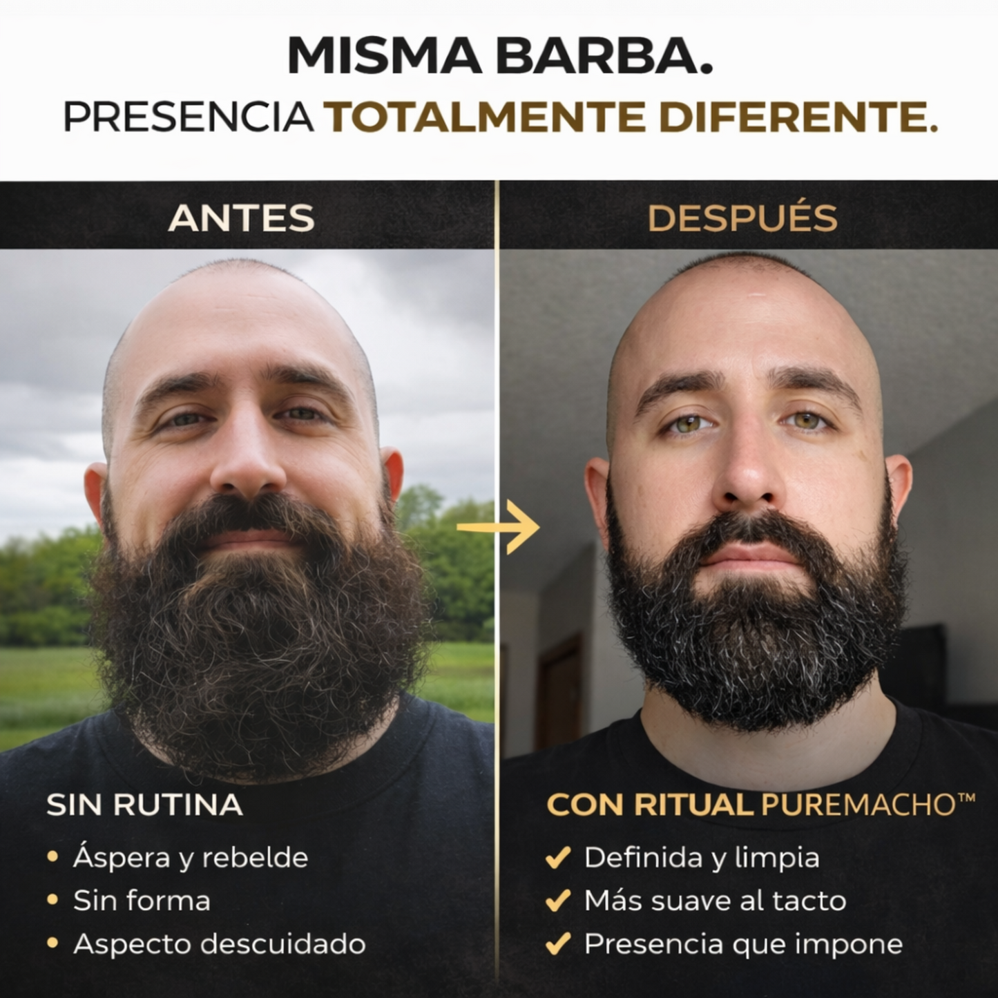 PureMacho - Premium Beard KIT